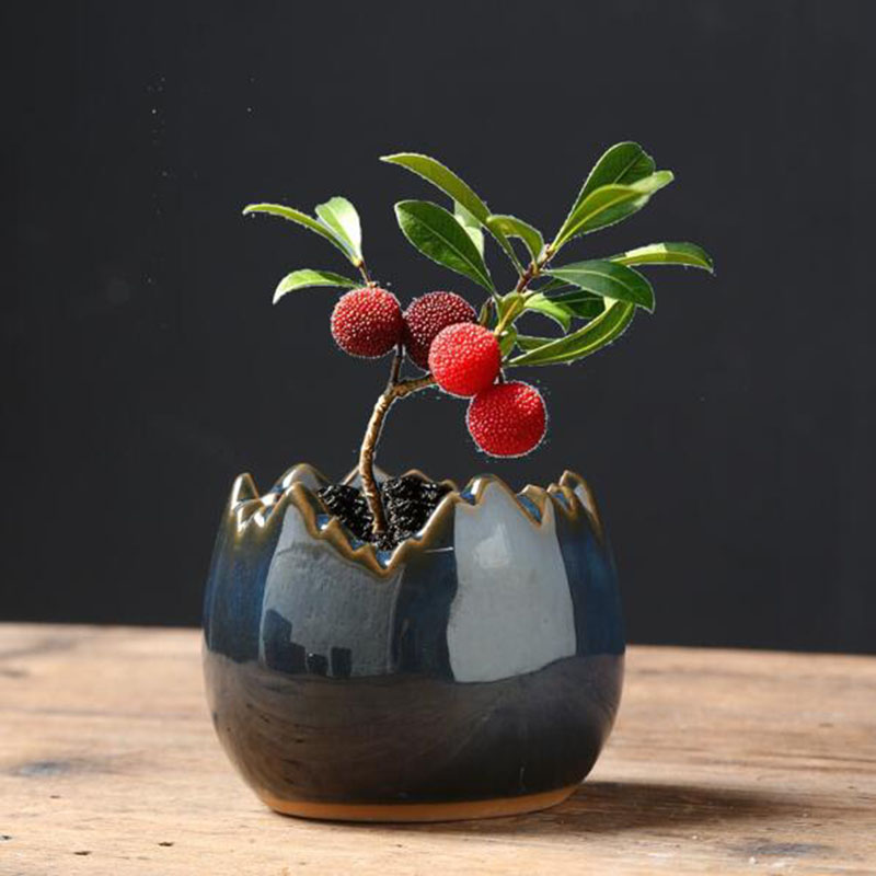 Bonsai Garden Art - กระถางดอกไม้เคลือบเงาแบบเปลือกไข่ ดีไซน์สร้างสรรค์ สำหรับปลูกไม้อวบน้ำ กระถางบอนไซ แจกันตกแต่งสวน ของตกแต่งบ้าน
