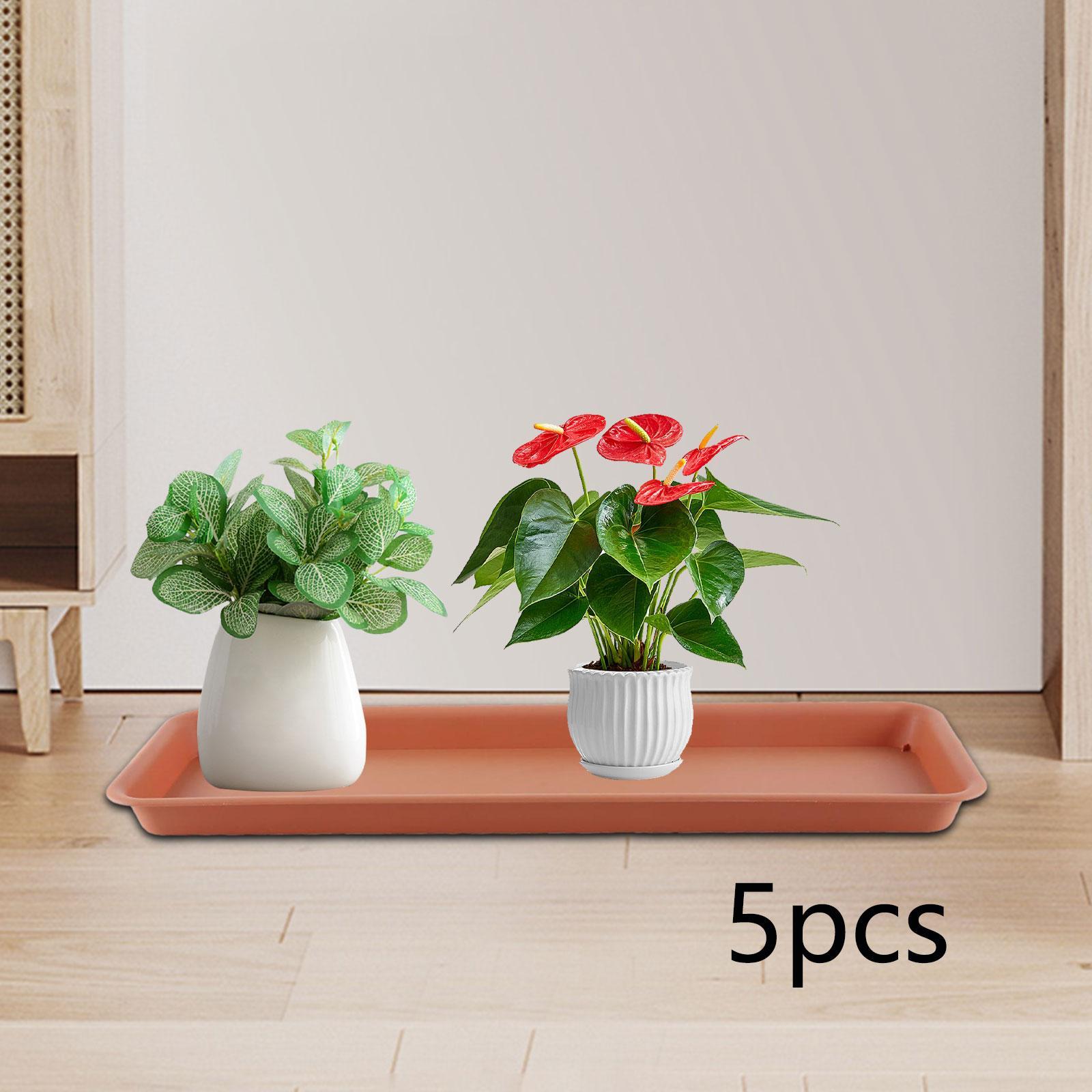 กระถางดอกไม้ทรงสูงสำหรับระเบีย - Drip Tray Saucer บทวิจารณ์และราคา