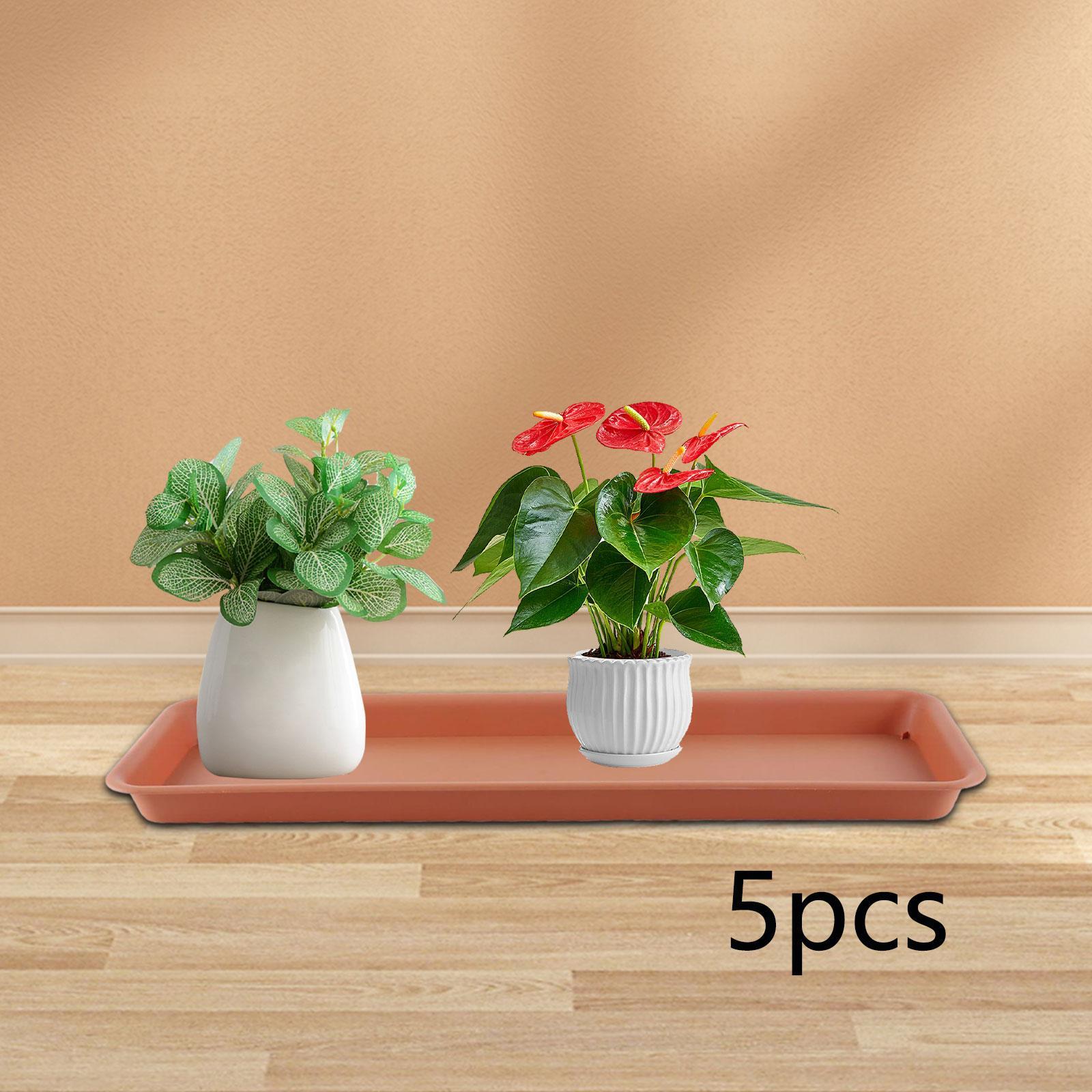กระถางดอกไม้ทรงสูงสำหรับระเบีย - Drip Tray Saucer บทวิจารณ์และราคา