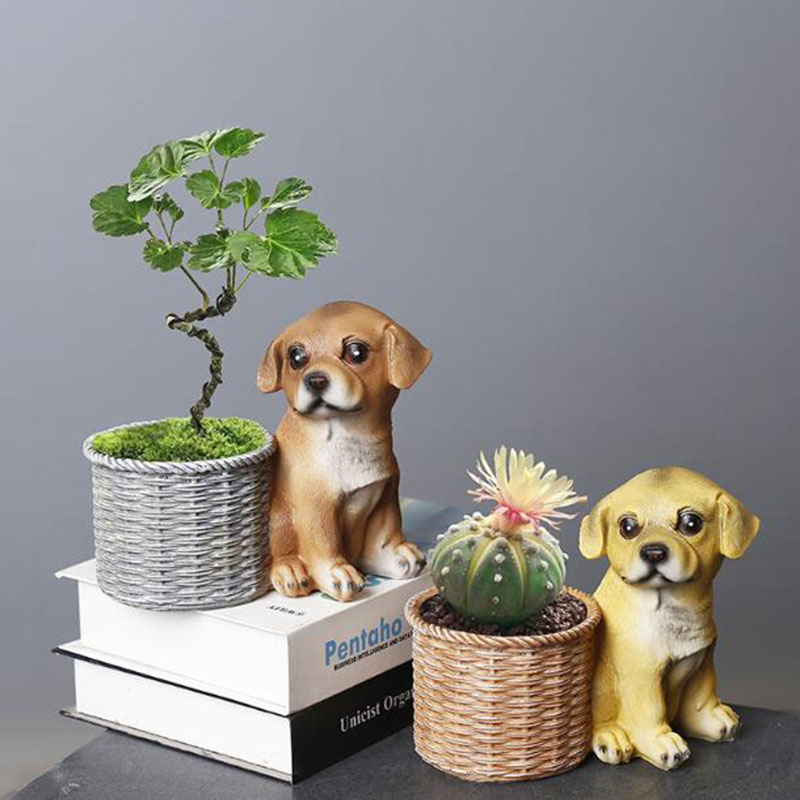 ครัวเรือนห้องนั่งเล่นสํานักงาน - Bonsai Garden Art บทวิจารณ์และราคา