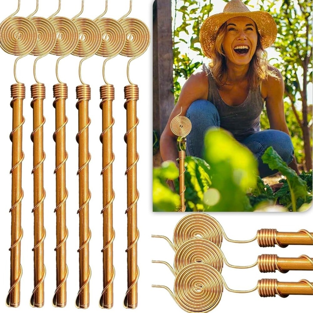 เสาค้ำต้นไม้แบบขดลวดทองแดง ทนท - Copper Wire Roll บทวิจารณ์และราคา