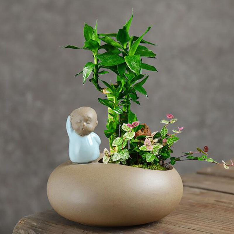 สไตล์จีน Retro เซรามิคพระภิกษุ - Bonsai Garden Art บทวิจารณ์และราคา