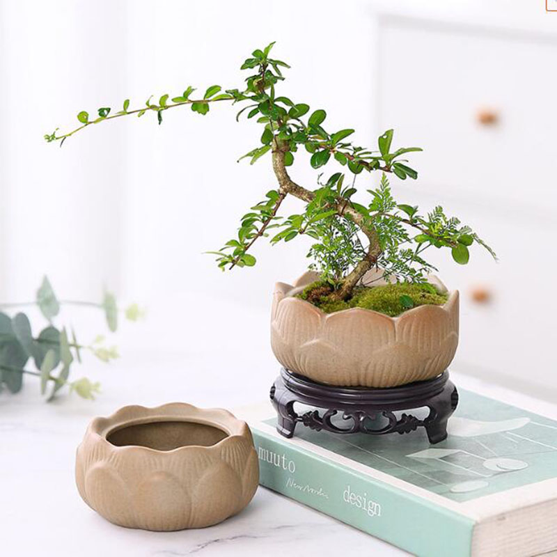 แจกันกระถางกระถางต้นไม้สีเขียว - Bonsai Garden Art บทวิจารณ์และราคา