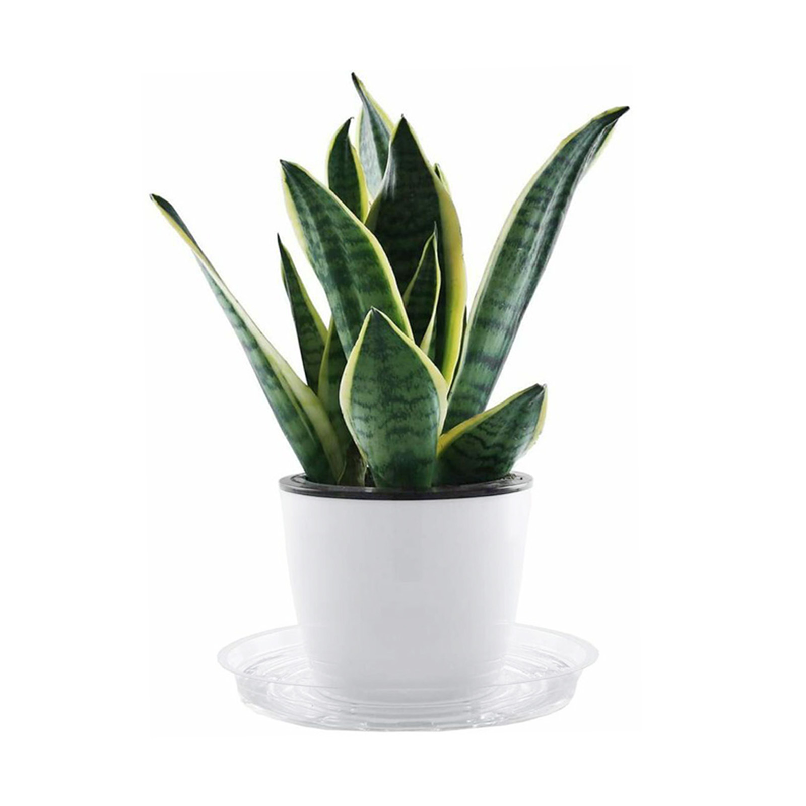 10 PC สวนจานรองถาดหยดเรซิ่นพลา - Drip Tray Saucer บทวิจารณ์และราคา