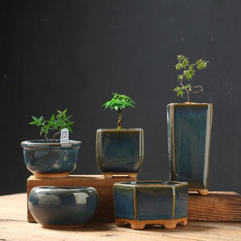 กระถางดอกไม้เคลือบเงาแบบเปลือก - Bonsai Garden Art บทวิจารณ์และราคา