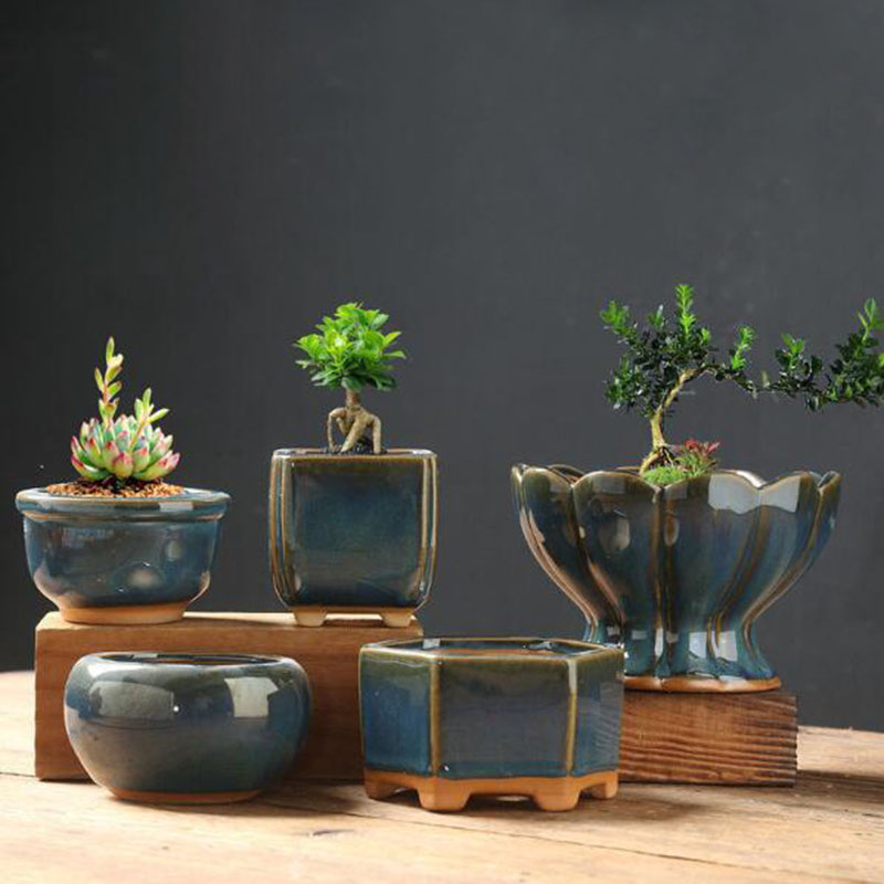 กระถางดอกไม้เคลือบเงาแบบเปลือก - Bonsai Garden Art บทวิจารณ์และราคา